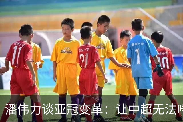 潘伟力谈亚冠变革：让中超无法喘息 球迷不用看了
